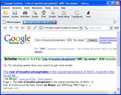 Google Scholar | Screendump: Frans de Meijer