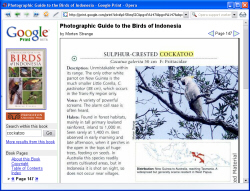 Google Print | Screendump: Frans de Meijer