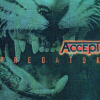 Accept: Predator | Ontwerp: Accept